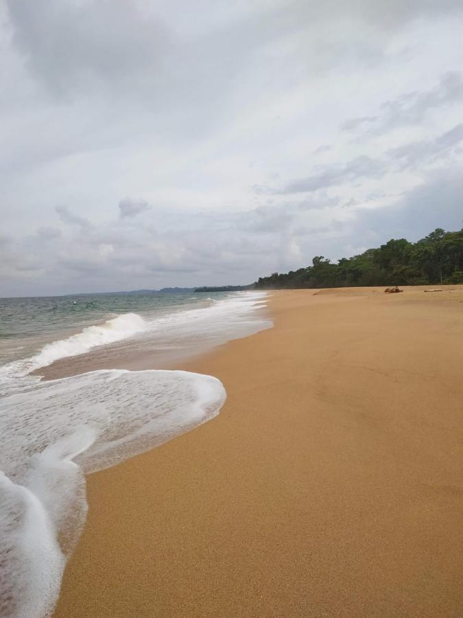 La Luciernaga Big Creek Bed & Breakfast โบกัสทาวน์ ภายนอก รูปภาพ