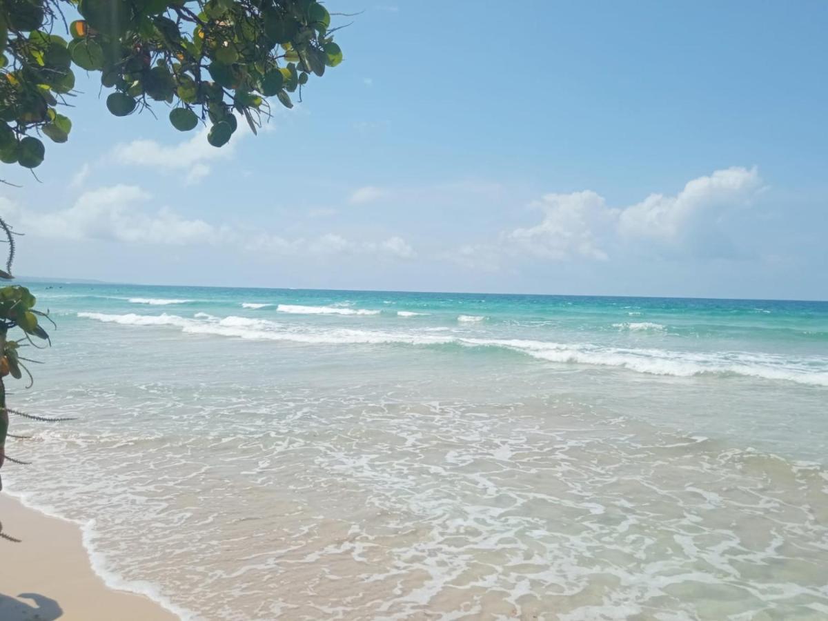 La Luciernaga Big Creek Bed & Breakfast โบกัสทาวน์ ภายนอก รูปภาพ